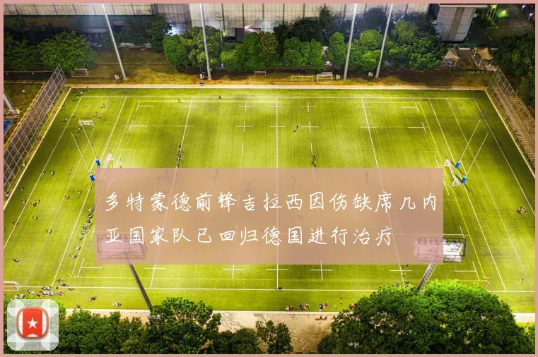 多特蒙德前锋吉拉西因伤缺席几内亚国家队已回归德国进行治疗